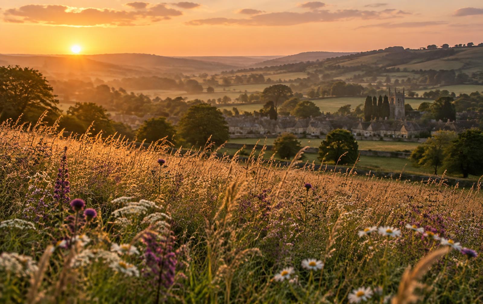 Wildflower meadow above a village at sunset
